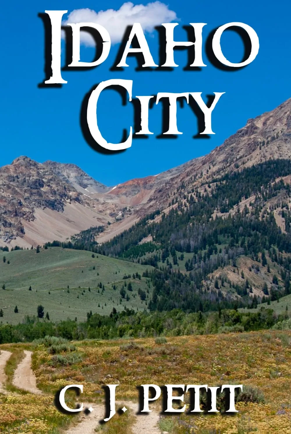 Idaho City: Book Five of the Joe Beck Series Hardcover  May 28, 2023